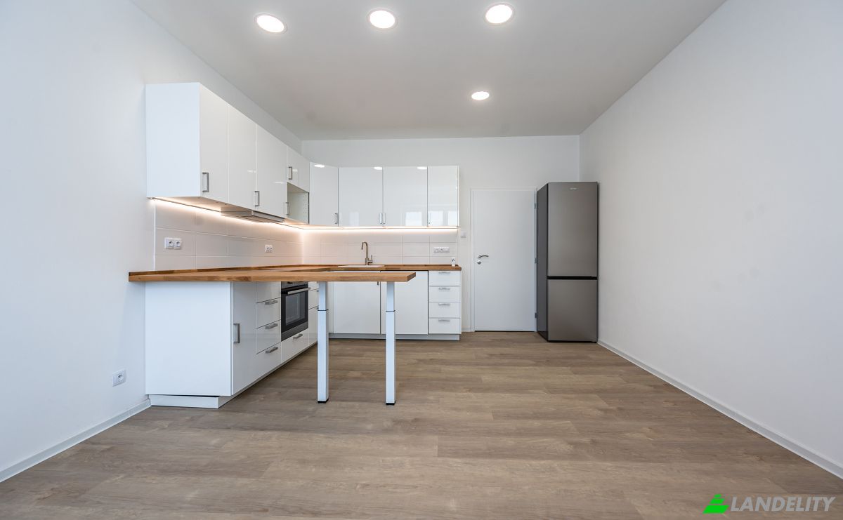 Apartment for Sale Strazni, Praha Zizkov, Prague, Hlavni mesto Praha, Czechia. Photo 20