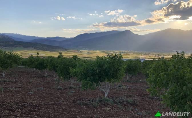 Land Lot for Sale - Elmali Antalya, Turkiye