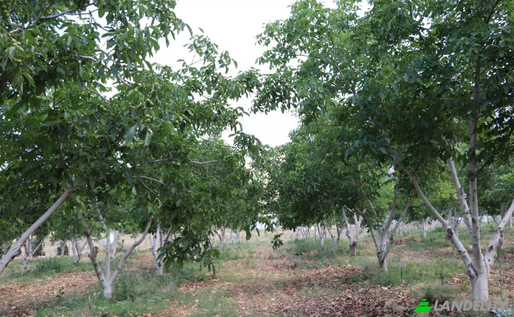 Земельна ділянка продаж Karyagdi, Elmali Seki Yolu, 07700 Elmali Antalya, Elmali Antalya, Elmali, Antalya, Turkiye. Фото 9