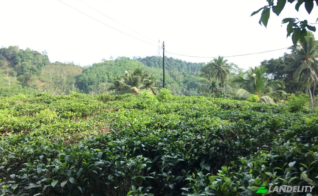 Land Lot for Sale Mabotuwana Pre School, Mabotuwana, Galle, Southern Province, Sri Lanka. Photo 4