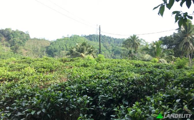 Land Lot for Sale Mabotuwana Pre School. Photo#4