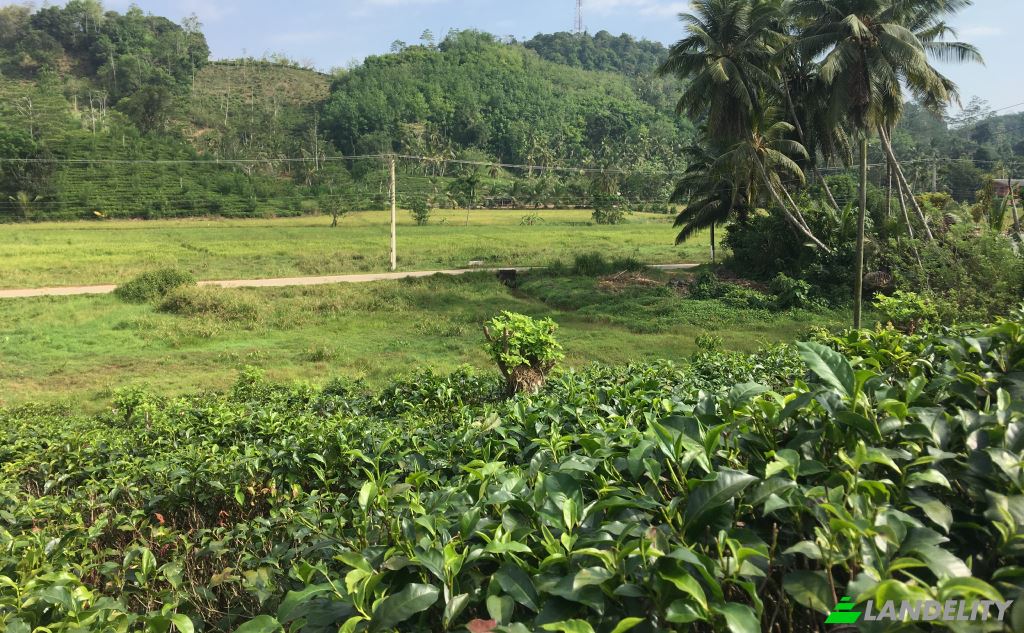 Land Lot for Sale Mabotuwana Pre School, Mabotuwana, Galle, Southern Province, Sri Lanka. Photo 5