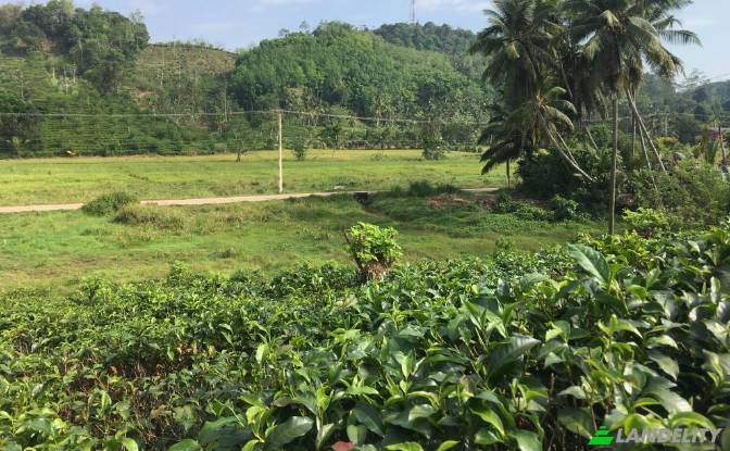 Land Lot for Sale Mabotuwana Pre School. Photo#5