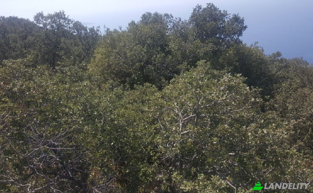 Land Lot for Sale Kalkan, 07580 Kas Antalya, Kas Antalya, Kas, Antalya, Turkiye. Photo 3
