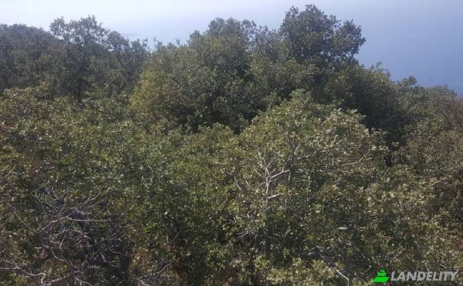 Land Lot for Sale Kalkan, 07580 Kas Antalya. Photo#3