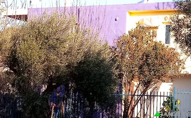 Maison unifamiliale à vendre Idras, Artemis. Photo#3