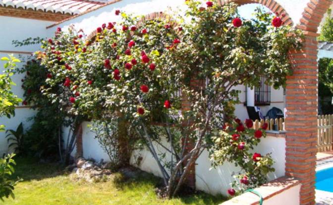 Villa for Sale C B, Padul, Granada, Andalusia. Photo#5