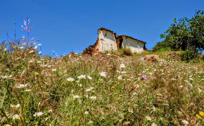Lotto di terreno in vendita R de Vale Fontes de. Foto#7