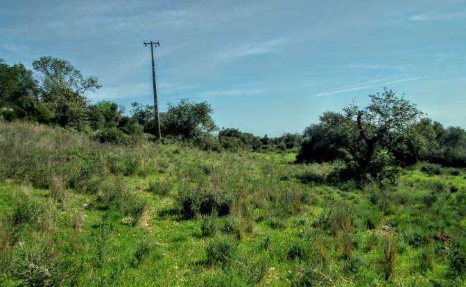 Land Lot for Sale Estoi, Faro, Faro District. Photo#10 Land Lot for Sale Estoi, Faro, Faro District. Photo#10