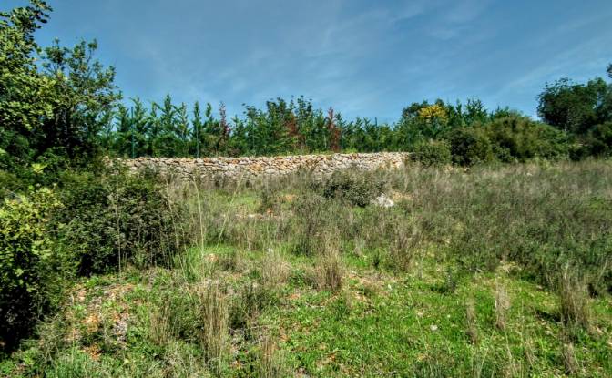 Land Lot for Sale Estoi, Faro, Faro District. Photo#11 Land Lot for Sale Estoi, Faro, Faro District. Photo#11