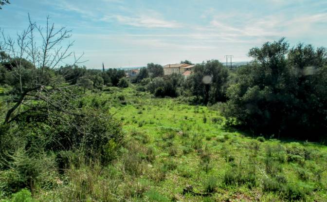 Land Lot for Sale Estoi, Faro, Faro District. Photo#13 Land Lot for Sale Estoi, Faro, Faro District. Photo#13