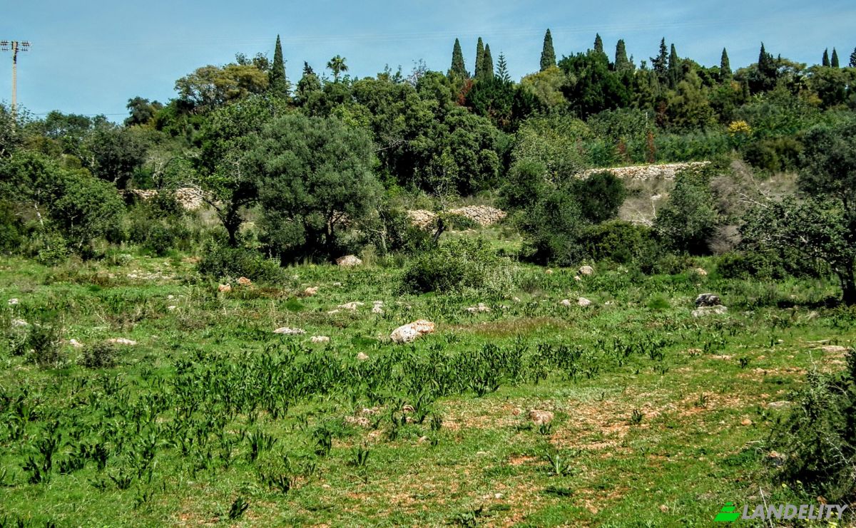 Land Lot for Sale Estoi, Faro, Faro District, Portugal. Photo 9