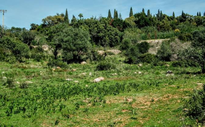 Land Lot for Sale Estoi, Faro, Faro District. Photo#9 Land Lot for Sale Estoi, Faro, Faro District. Photo#9