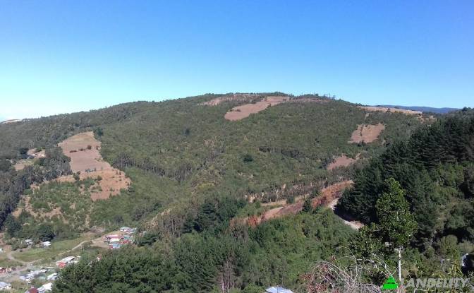 Lote de terreno à venda Missisipi. foto#3