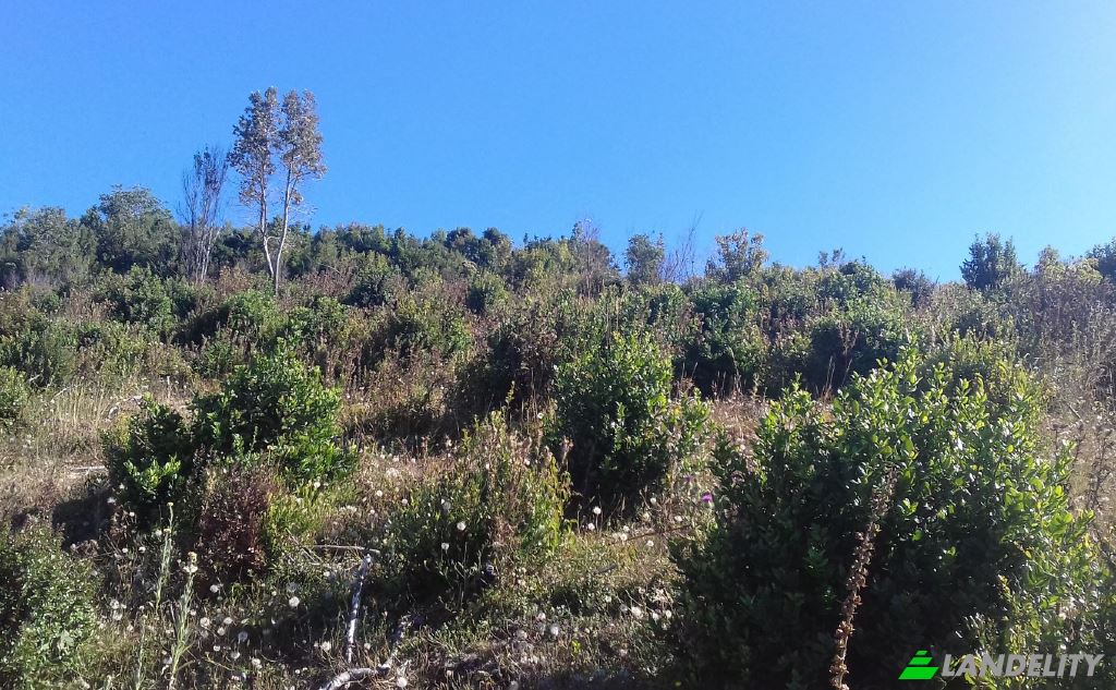 Lote de terreno à venda Missisipi, Valdivia Province, Los Rios, Chile, Mariquina. foto 4