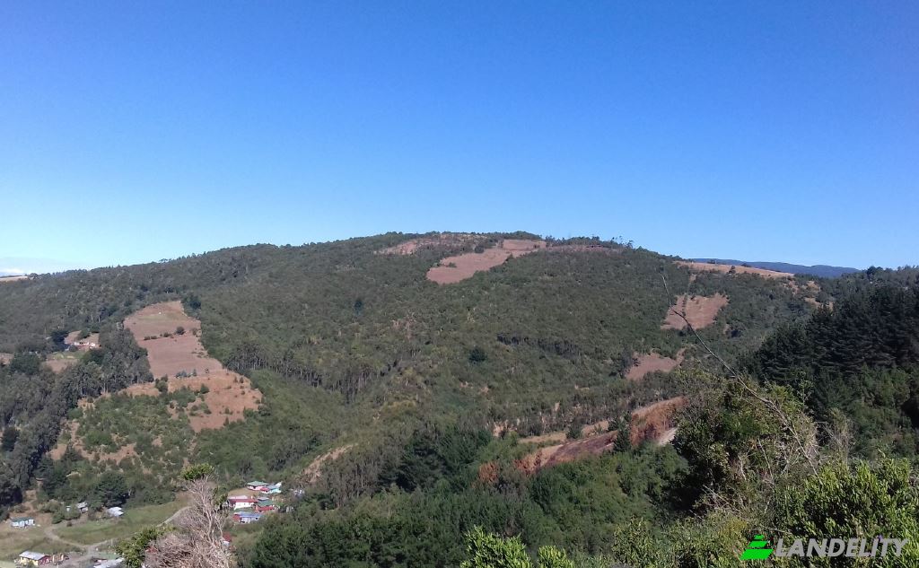 Lote de terreno à venda Missisipi, Valdivia Province, Los Rios, Chile, Mariquina. foto 8