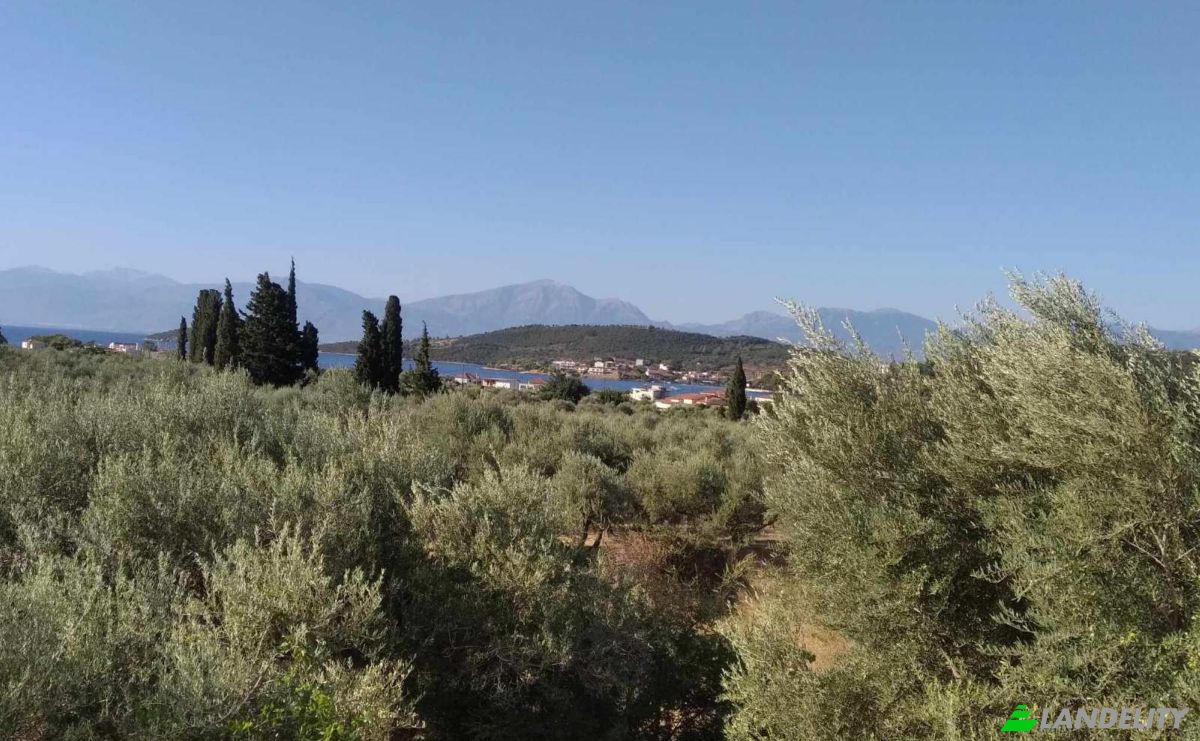 Single Family Home for Sale Glyfada, Central Greece, Decentralized Administration of Thessaly and Central Greece, Greece. Photo 1