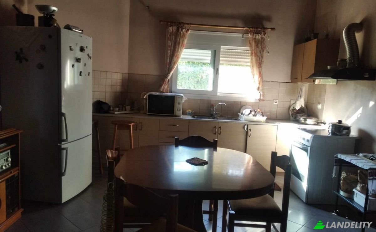 Single Family Home for Sale Glyfada, Central Greece, Decentralized Administration of Thessaly and Central Greece, Greece. Photo 9