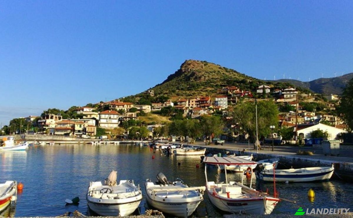 Single Family Home for Sale Glyfada, Central Greece, Decentralized Administration of Thessaly and Central Greece, Greece. Photo 16