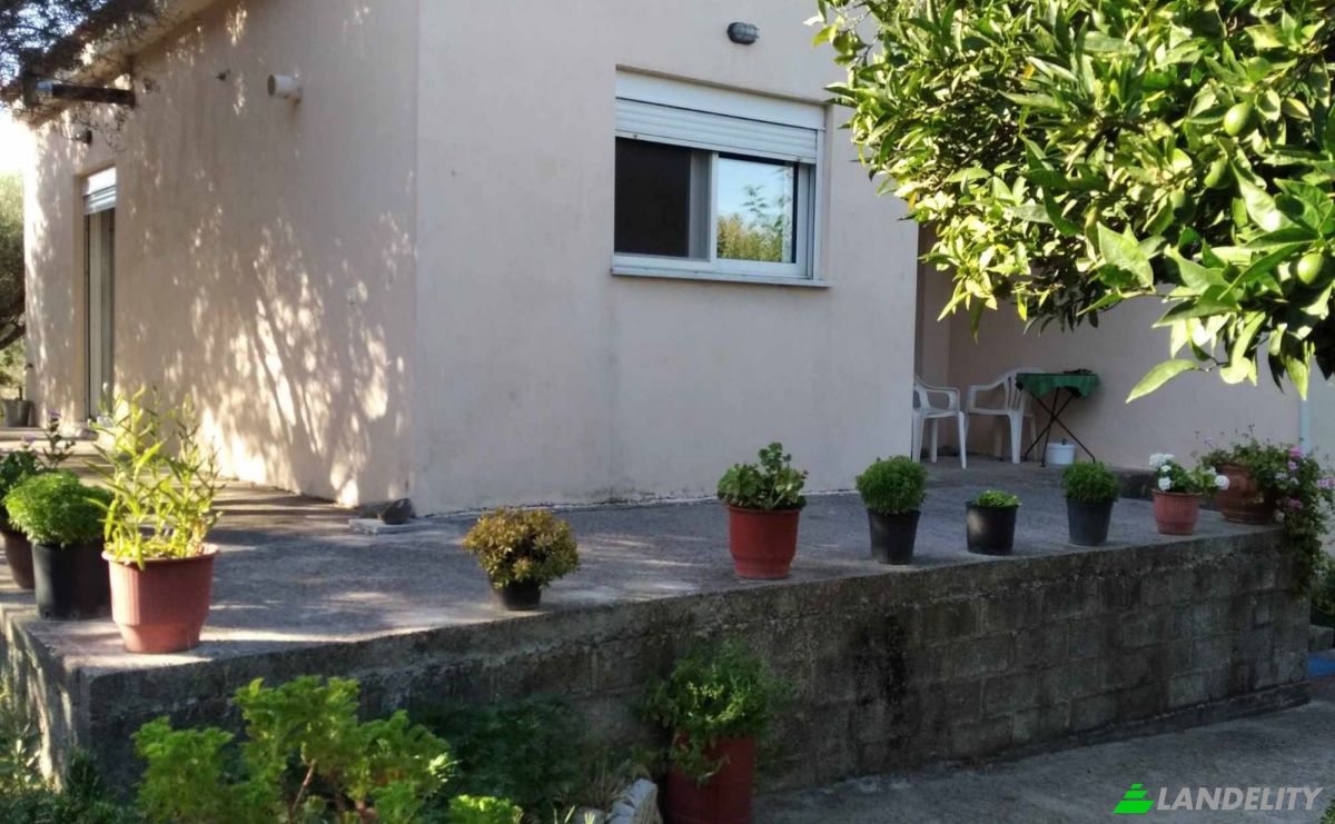 Single Family Home for Sale Glyfada, Central Greece, Decentralized Administration of Thessaly and Central Greece, Greece. Photo 4