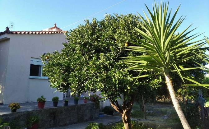 Single Family Home for Sale Glyfada. Photo#7