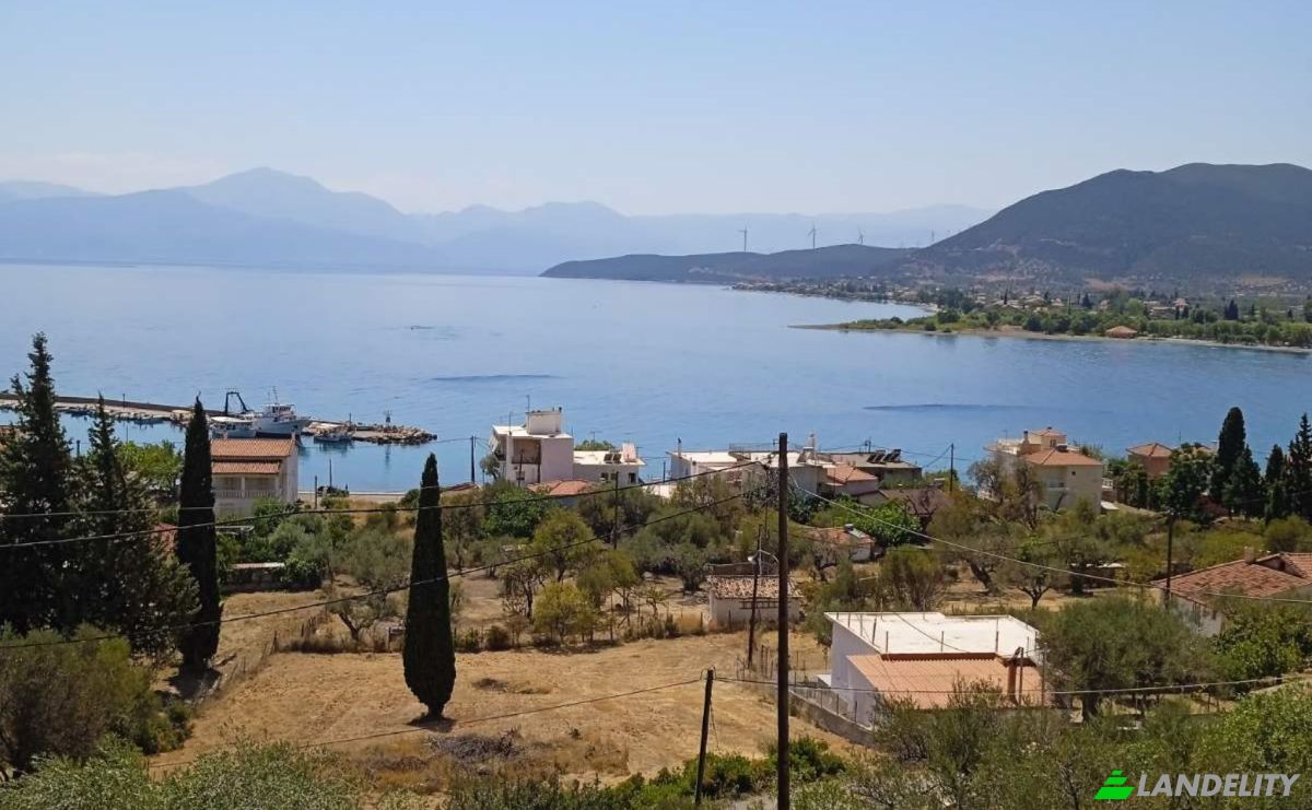 Single Family Home for Sale Erateini, Central Greece, Decentralized Administration of Thessaly and Central Greece, Greece. Photo 18