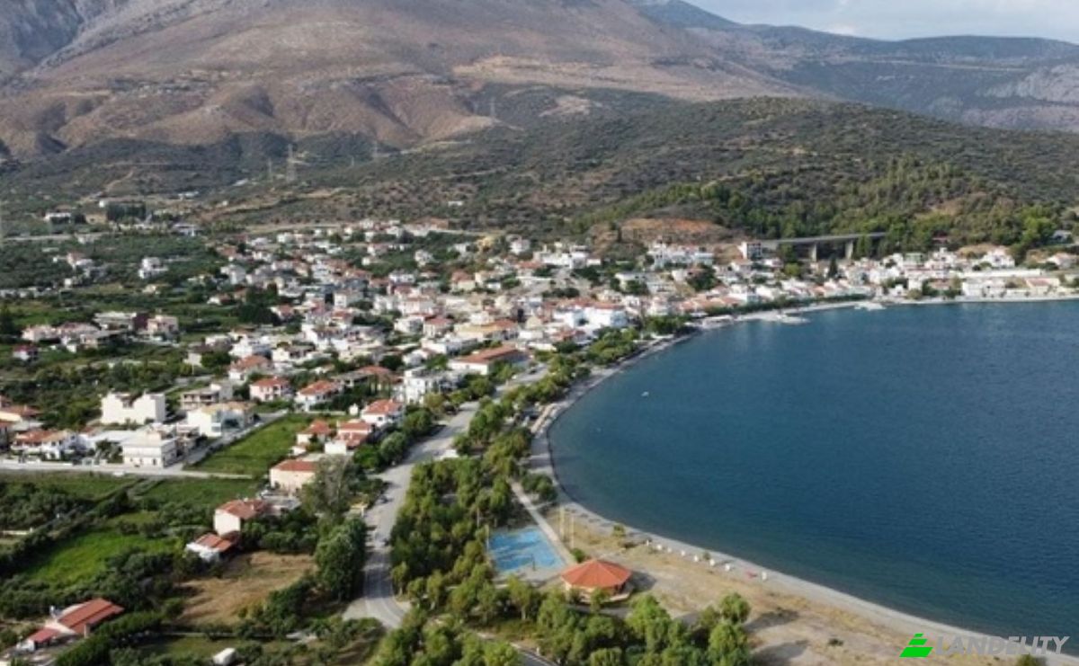 Single Family Home for Sale Erateini, Central Greece, Decentralized Administration of Thessaly and Central Greece, Greece. Photo 19