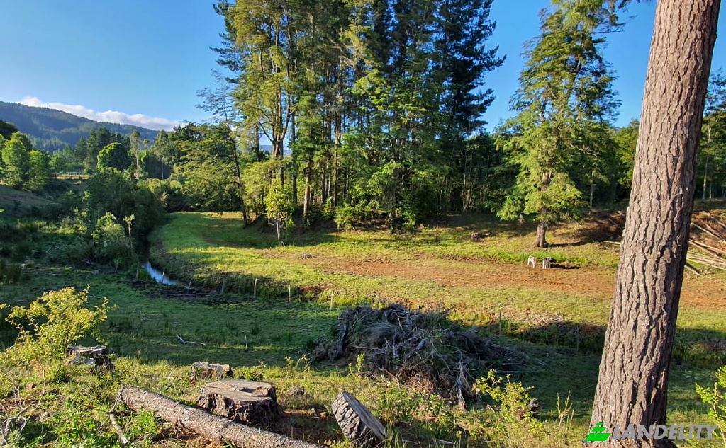 Land Lot for Sale Via sin nombre, Mariquina, Cuyan, Valdivia Province, Los Rios, Chile. Photo 1