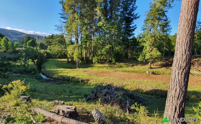 Land Lot for Sale - Cuyan, Chile