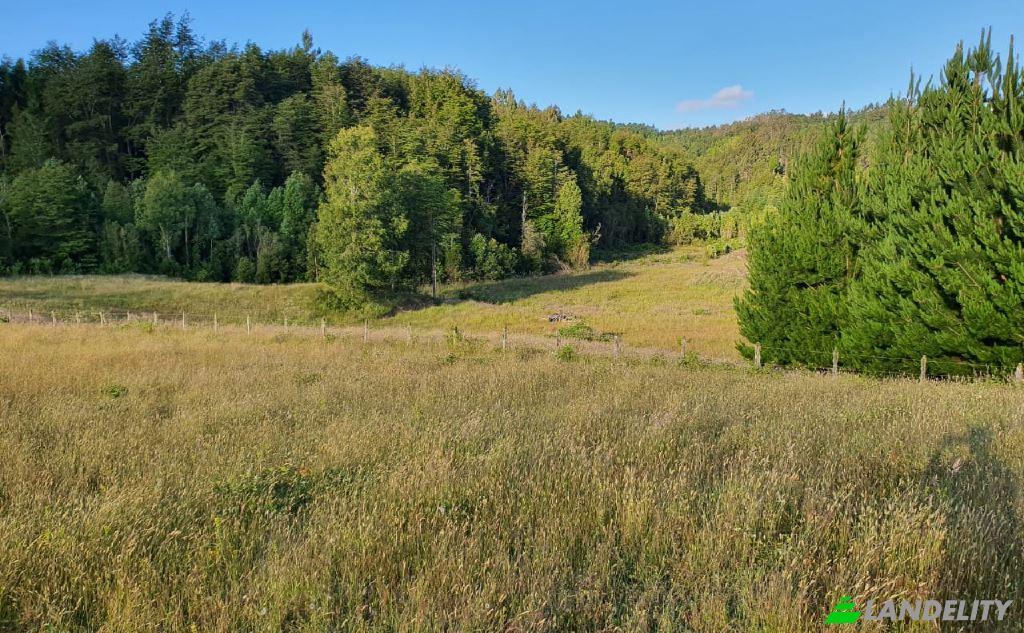 Land Lot for Sale Via sin nombre, Mariquina, Cuyan, Valdivia Province, Los Rios, Chile. Photo 3