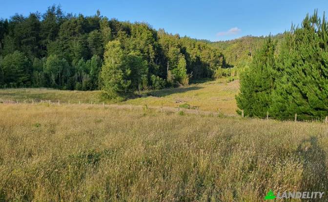 Land Lot for Sale Via sin nombre, Mariquina, Cuyan. Photo#3 Land Lot for Sale Via sin nombre, Mariquina, Cuyan. Photo#3