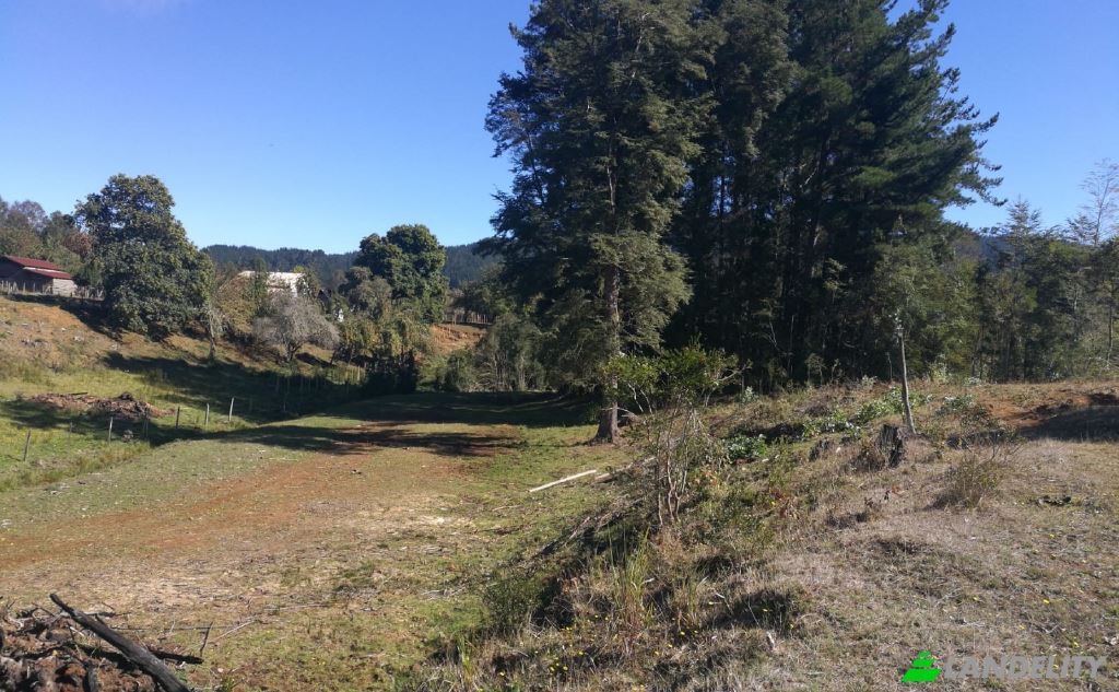 Land Lot for Sale Via sin nombre, Mariquina, Cuyan, Valdivia Province, Los Rios, Chile. Photo 4