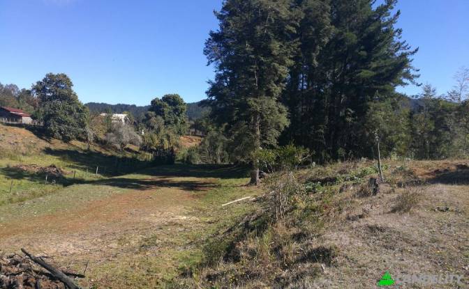Land Lot for Sale Via sin nombre, Mariquina, Cuyan. Photo#4 Land Lot for Sale Via sin nombre, Mariquina, Cuyan. Photo#4