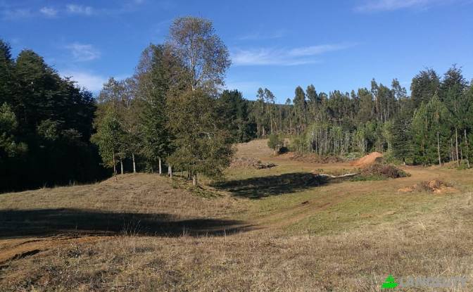 Land Lot for Sale Via sin nombre, Mariquina, Cuyan. Photo#5 Land Lot for Sale Via sin nombre, Mariquina, Cuyan. Photo#5