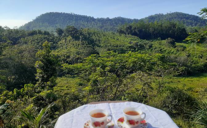 Lote de terreno en venta Yakkalamulla, Galle. Foto#2