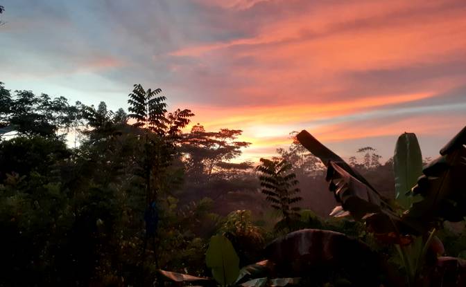 Lote de terreno en venta Yakkalamulla, Galle. Foto#3