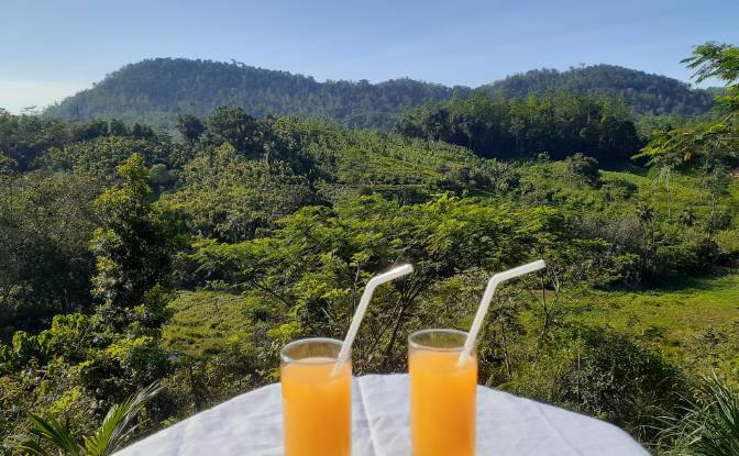 Lote de terreno en venta Yakkalamulla, Galle. Foto#4
