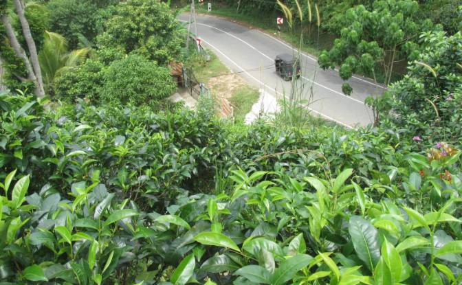 Lote de terreno en venta Yakkalamulla, Galle. Foto#5