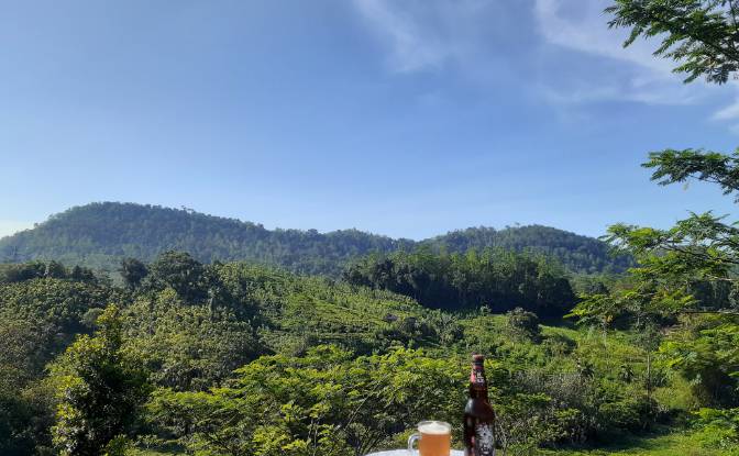 Lote de terreno en venta Yakkalamulla, Galle. Foto#8