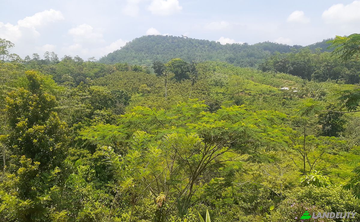 Lote de terreno en venta Yakkalamulla, Galle, Southern Province, Sri Lanka. Foto 10