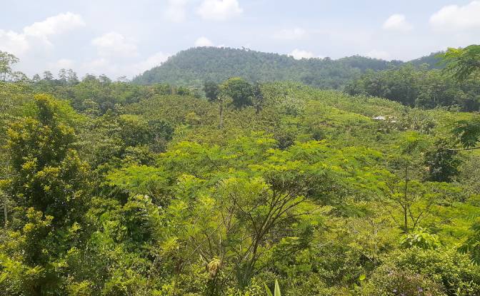 Lote de terreno en venta Yakkalamulla, Galle. Foto#10