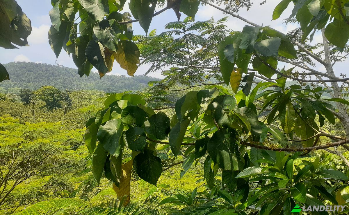 Lote de terreno en venta Yakkalamulla, Galle, Southern Province, Sri Lanka. Foto 11