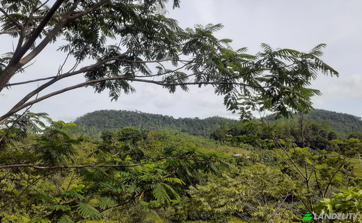 Lote de terreno en venta Yakkalamulla, Galle, Southern Province, Sri Lanka. Foto 12