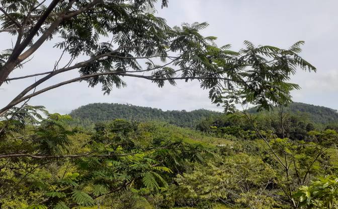 Lote de terreno en venta Yakkalamulla, Galle. Foto#12