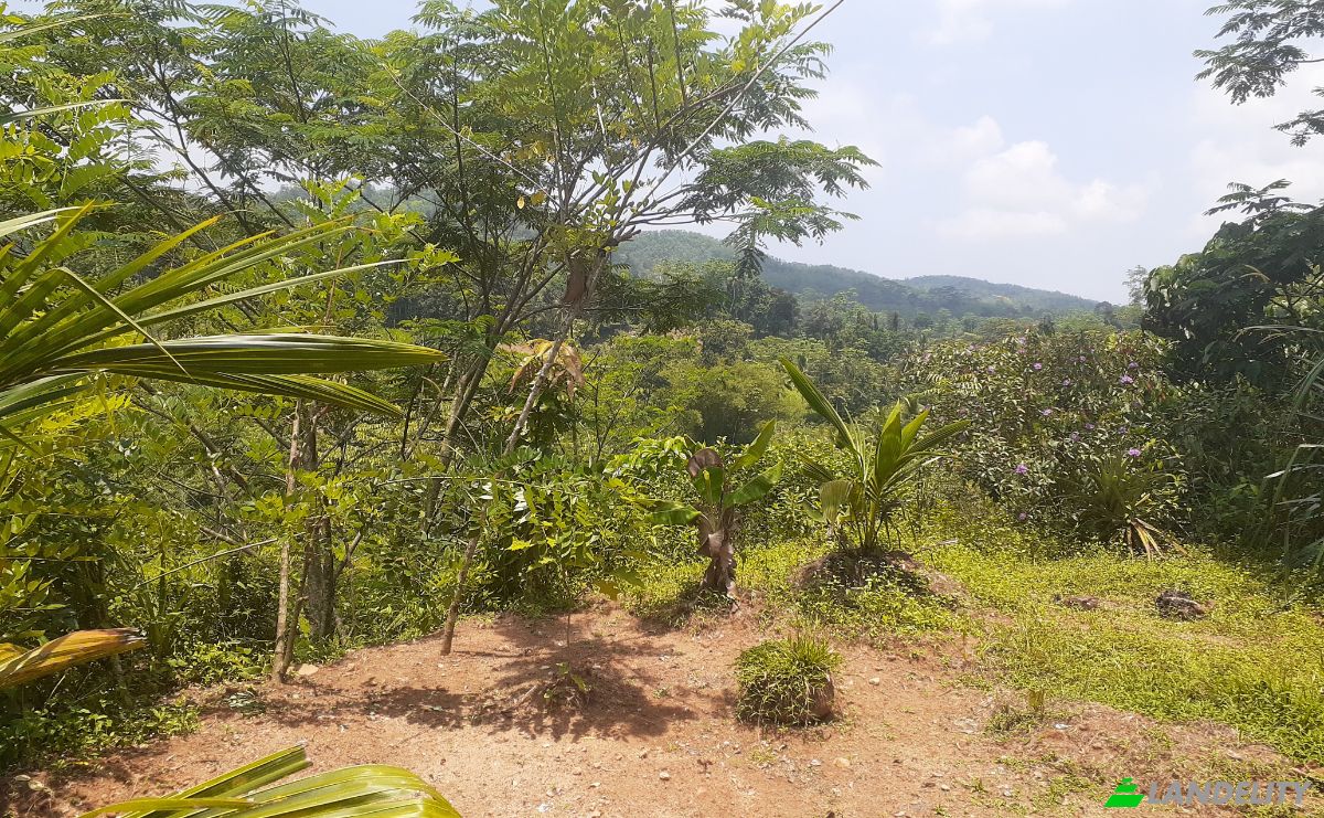 Lote de terreno en venta Yakkalamulla, Galle, Southern Province, Sri Lanka. Foto 13