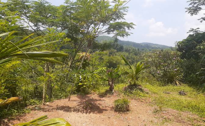 Lote de terreno en venta Yakkalamulla, Galle. Foto#13