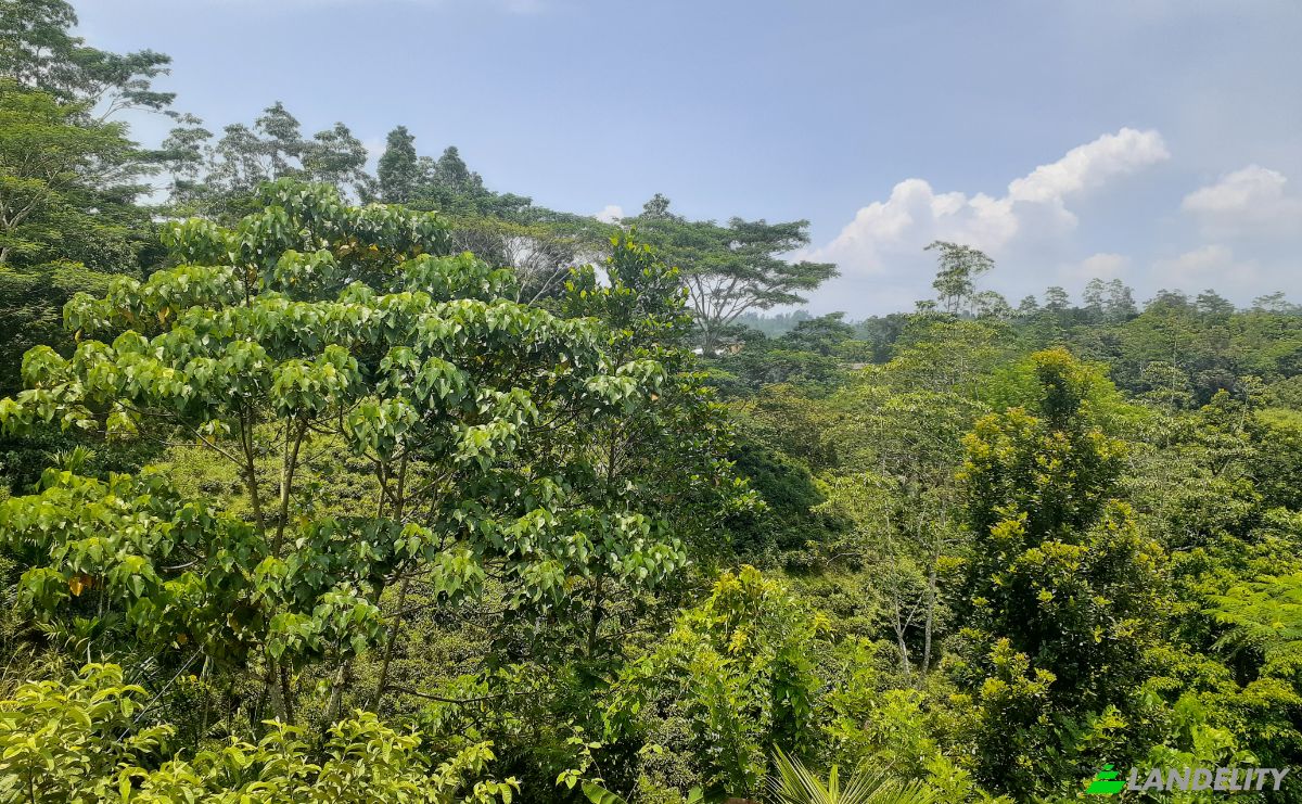 Lote de terreno en venta Yakkalamulla, Galle, Southern Province, Sri Lanka. Foto 14