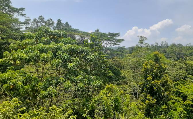 Lote de terreno en venta Yakkalamulla, Galle. Foto#14