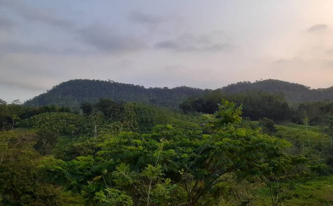 Lote de terreno en venta Yakkalamulla, Galle. Foto#15