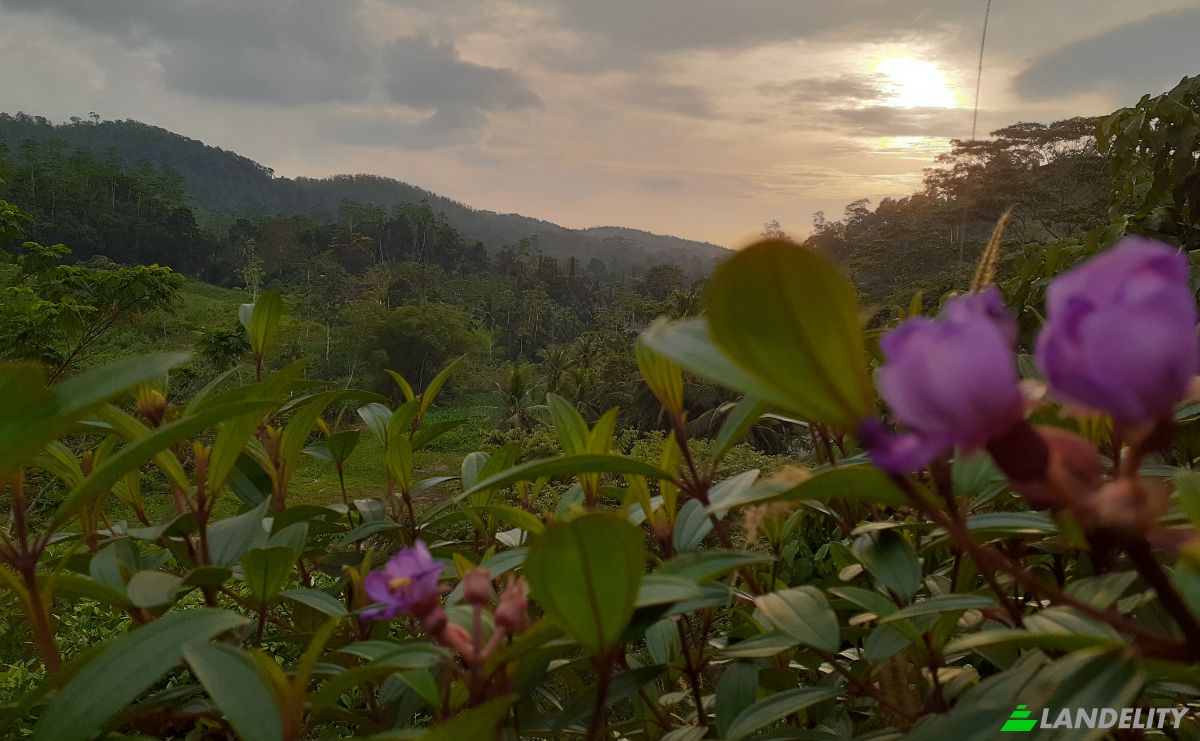 Lote de terreno en venta Yakkalamulla, Galle, Southern Province, Sri Lanka. Foto 16